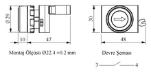 Load image into Gallery viewer, EMAS CP100DHOD - Down Arrow Marked Momentary Pushbutton (1 N.O.)
