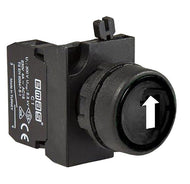 EMAS CP100DHOD - Down Arrow Marked Momentary Pushbutton (1 N.O.)